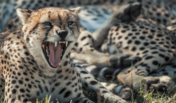 BK8I6679v2 - GALLERY.jpg